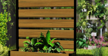 Breaking Ground: How Raised Garden Beds Are Revolutionizing American Gardening